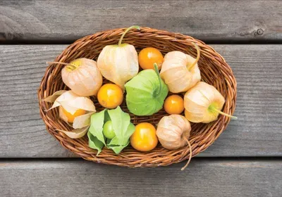 bio business bio business